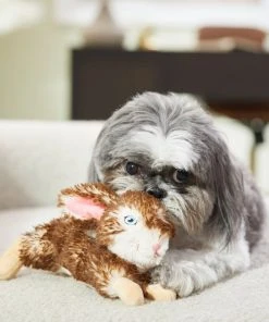 Frisco Realistic Plush Rabbit Plush Dog Toy -Frisco Sales 2024 316933 PT2. SY630 V1641400634