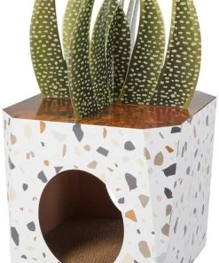 Frisco Potted Succulent Cardboard Cat House