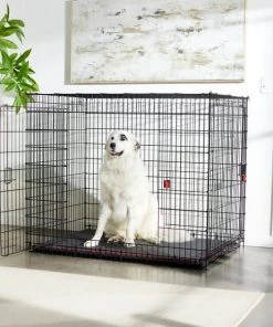 Frisco XX-Large Heavy Duty Enhanced Lock Double Door Wire Dog Crate, Fold & Carry Wire Dog Crate & Mat Kit, 54"