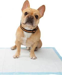 Frisco 4-Panel Plastic Exercise Playpen, White + Dog Training & Potty Pads, 22 x 23-in, 150 count, Unscented -Frisco Sales 2024 318960 PT8. SY630 V1630366595