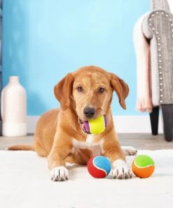 Frisco||Playology Frisco Fetch Squeaking Colorful Tennis Ball, 3-Pack + Playology All Natural Dual Layer Bone Dog Toy, Large, Peanut Butter Scented -Frisco Sales 2024 319022 PT3. SY630 V1630552585