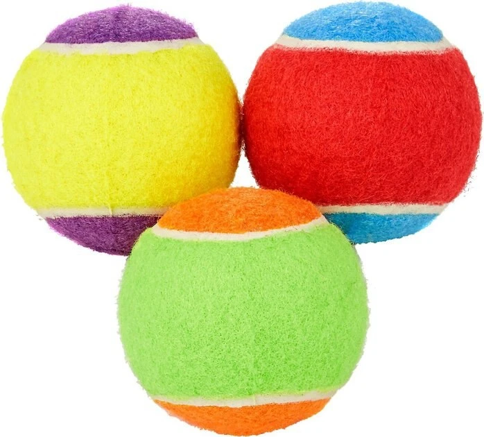 Frisco||Project Hive Pet Company Frisco Fetch Squeaking Colorful Tennis Ball, 3-Pack + Project Hive Pet Company Ball Dog Toy 4 Frisco||Project Hive Pet Company Frisco Fetch Squeaking Colorful Tennis Ball, 3-Pack + Project Hive Pet Company Ball Dog Toy - Image 2
