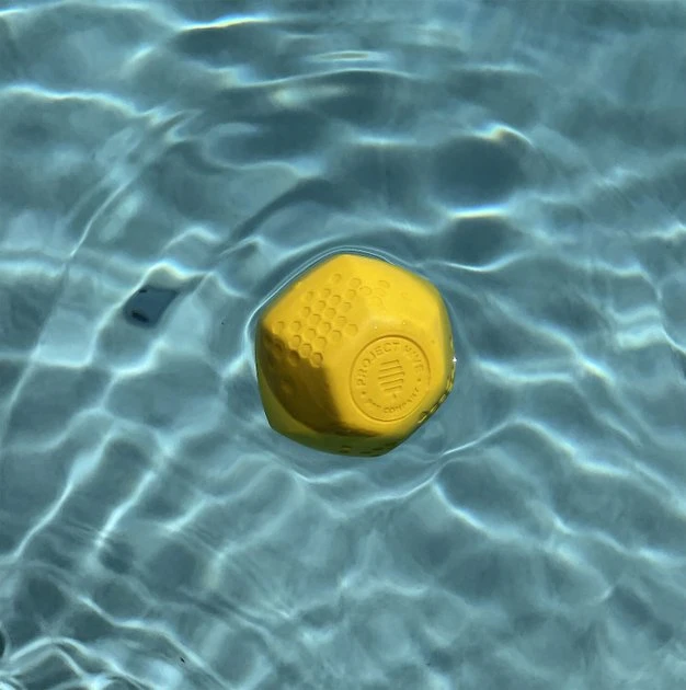 Frisco||Project Hive Pet Company Frisco Fetch Squeaking Colorful Tennis Ball, 3-Pack + Project Hive Pet Company Ball Dog Toy 9 Frisco||Project Hive Pet Company Frisco Fetch Squeaking Colorful Tennis Ball, 3-Pack + Project Hive Pet Company Ball Dog Toy - Image 7