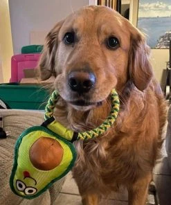 Frisco||Avo Doggo Frisco Hide and Seek Plush Guacamole Toy + Avo Doggo Avocado Dog Tug Toy -Frisco Sales 2024 319052 PT8. SY630 V1630559470
