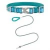 Frisco Outdoor Comfort Print Nylon Padded Collar, Large, Neck: 18 -26-in, Width: 1-in + Outdoor Ultra Reflective Rope Leash With Padded Handle, Bayou Teal, 6 - ft