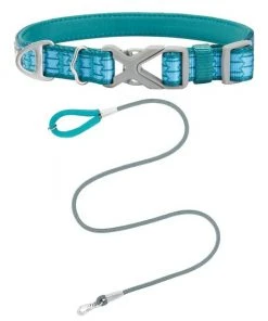 Frisco Outdoor Comfort Print Nylon Padded Collar, Large, Neck: 18 -26-in, Width: 1-in + Outdoor Ultra Reflective Rope Leash With Padded Handle, Bayou Teal, 6 - ft
