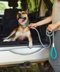 Frisco Outdoor Comfort Print Nylon Padded Collar, Large, Neck: 18 -26-in, Width: 1-in + Outdoor Ultra Reflective Rope Leash With Padded Handle, Bayou Teal, 6 - ft -Frisco Sales 2024 319068 PT8. SY630 V1631154979