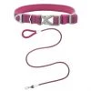 Frisco Outdoor Comfort Print Nylon Padded Collar, Large, Neck: 18 -26-in, Width: 1-in + Outdoor Ultra Reflective Rope Leash With Padded Handle, Boysenberry Purple, 6 - ft -Frisco Sales 2024 319070 MAIN. SY630 V1631139670