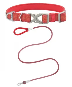 Frisco Outdoor Comfort Print Nylon Padded Collar, Large, Neck: 18 -26-in, Width: 1-in + Outdoor Ultra Reflective Rope Leash With Padded Handle, Sunset Orange, 6 - ft