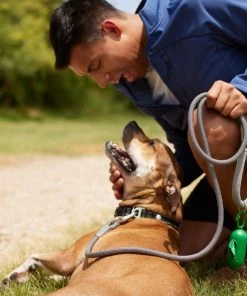 Frisco Outdoor Frisco Nylon Collar, Forest Green, Medium-Neck: 14-20-in, Width: 3/4-in + Rope Leash With Padded Handle, Stone Gray, 6-ft -Frisco Sales 2024 319104 PT8. SY630 V1631158315