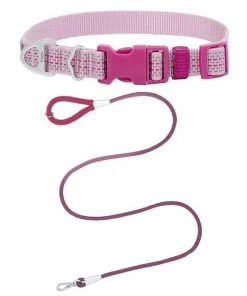 Frisco Outdoor Frisco Nylon Collar, Shadow Purple, Medium-Neck: 14-20-in, Width: 3/4-in + Rope Leash With Padded Handle, Boysenberry Purple, 6-ft