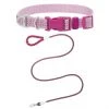 Frisco Outdoor Frisco Nylon Collar, Shadow Purple, Small-Neck: 10-14-in, Width: 5/8-in + Rope Leash With Padded Handle, Boysenberry Purple, 6-ft