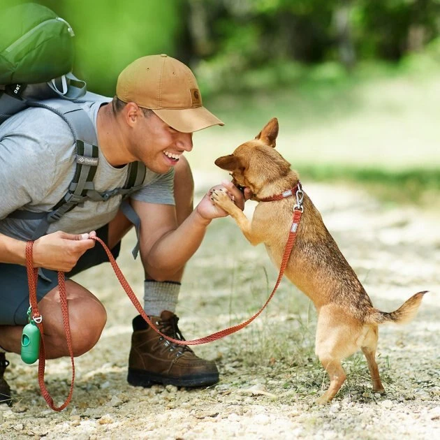 Frisco Outdoor Heathered Nylon Collar, Flamepoint Orange, Large, Neck: 18 -26-in, Width: 1-in + Dog Leash, Flamepoint Orange, Large - Length: 6-ft, Width: 1-in 10 Frisco Outdoor Heathered Nylon Collar, Flamepoint Orange, Large, Neck: 18 -26-in, Width: 1-in + Dog Leash, Flamepoint Orange, Large - Length: 6-ft, Width: 1-in - Image 8