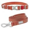 Frisco Outdoor Heathered Nylon Collar, Flamepoint Orange, Medium - Neck: 14-20-in, Width: 3/4-in + Dog Leash, Flamepoint Orange, Medium - Length: 6-ft, Width: 3/4-in 1 Frisco Outdoor Heathered Nylon Collar, Flamepoint Orange, Medium - Neck: 14-20-in, Width: 3/4-in + Dog Leash, Flamepoint Orange, Medium - Length: 6-ft, Width: 3/4-in -Frisco Sales 2024 319120 MAIN. SY630 V1631145374