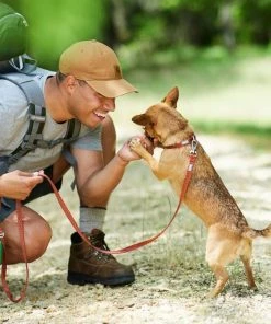 Frisco Outdoor Heathered Nylon Collar, Flamepoint Orange, Small - Neck: 10-14-in, Width: 5/8-in + Dog Leash, Flamepoint Orange, Small - Length: 6-ft, Width: 5/8-in -Frisco Sales 2024 319122 PT7. SY630 V1631161616