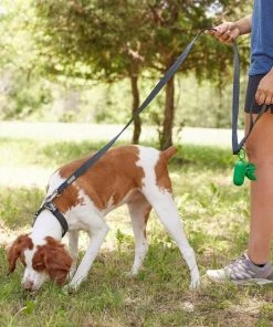 Frisco Outdoor Heathered Nylon Collar, Midnight Black, MD - Neck: 14-20-in, Width: 3/4-in + Dog Leash, Midnight Black, MD - Length: 6-ft, Width: 3/4-in -Frisco Sales 2024 319126 PT7. SY630 V1631145074