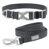 Frisco Outdoor Heathered Nylon Collar, Midnight Black, SM - Neck: 10-14-in, Width: 5/8-in + Dog Leash, Midnight Black, SM - Length: 6-ft, Width: 5/8-in