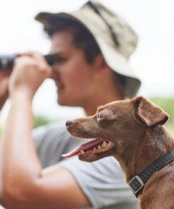Frisco Outdoor Heathered Nylon Collar, Midnight Black, XS, Neck: 8-12-in, Width: 5/8th -in + Dog Leash, Midnight Black, SM - Length: 6-ft, Width: 5/8-in -Frisco Sales 2024 319130 PT4. SY630 V1631146590