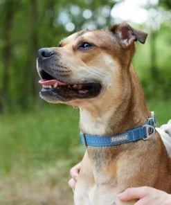 Frisco Outdoor Heathered Nylon Collar, River Blue, Medium - Neck: 14-20-in, Width: 3/4-in + Dog Leash, River Blue, Medium - Length: 6-ft, Width: 3/4-in -Frisco Sales 2024 319136 PT4. SY630 V1631142090