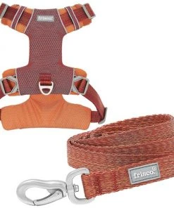 Frisco Outdoor Lightweight Ripstop Nylon Harness, Flamepoint Orange, Large, Neck: 18 to 28-in, Girth 24 to 34-in + Heathered Dog Leash, Flamepoint Orange, Large - Length: 6-ft, Width: 1-in