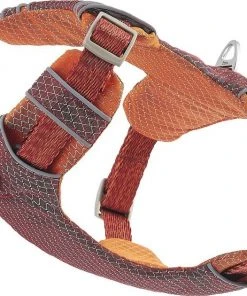 Frisco Outdoor Lightweight Ripstop Nylon Harness, Flamepoint Orange, Small, Neck: 13 to 19-in, Girth: 16 to 22-in + Heathered Dog Leash, Flamepoint Orange, Small - Length: 6-ft, Width: 5/8-in -Frisco Sales 2024 319160 PT3. SY630 V1631139114
