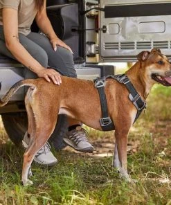 Frisco Outdoor Lightweight Ripstop Nylon Harness, Storm Gray, Large, Neck: 18 to 28-in, Girth 24 to 34-in + Heathered Dog Leash, Midnight Black, LG - Length: 6-ft, Width: 1-in 16 Frisco Outdoor Lightweight Ripstop Nylon Harness, Storm Gray, Large, Neck: 18 to 28-in, Girth 24 to 34-in + Heathered Dog Leash, Midnight Black, LG - Length: 6-ft, Width: 1-in -Frisco Sales 2024 319200 PT5. SY630 V1631151695