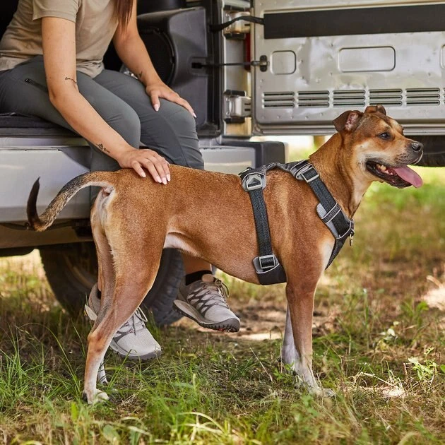 Frisco Outdoor Lightweight Ripstop Nylon Harness, Storm Gray, Large, Neck: 18 to 28-in, Girth 24 to 34-in + Heathered Dog Leash, Midnight Black, LG - Length: 6-ft, Width: 1-in 8 Frisco Outdoor Lightweight Ripstop Nylon Harness, Storm Gray, Large, Neck: 18 to 28-in, Girth 24 to 34-in + Heathered Dog Leash, Midnight Black, LG - Length: 6-ft, Width: 1-in - Image 6