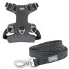 Frisco Outdoor Lightweight Ripstop Nylon Harness, Storm Gray, Small, Neck: 13 to 19-in, Girth: 16 to 22-in + Heathered Dog Leash, Midnight Black, SM - Length: 6-ft, Width: 5/8-in 1 Frisco Outdoor Lightweight Ripstop Nylon Harness, Storm Gray, Small, Neck: 13 to 19-in, Girth: 16 to 22-in + Heathered Dog Leash, Midnight Black, SM - Length: 6-ft, Width: 5/8-in -Frisco Sales 2024 319208 MAIN. SY630 V1631150492
