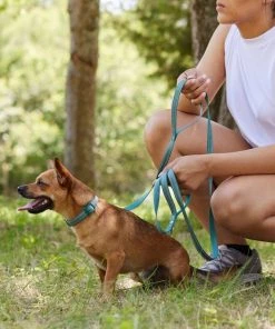 Frisco Outdoor Nylon Reflective Comfort Padded Collar, Bayou Teal, Extra Small, Neck: 8-12-in, Width: 5/8th-in + Dog Leash, Bayou Teal, Small - Length: 6-ft, Width: 5/8-in -Frisco Sales 2024 319212 PT8. SY630 V1631160402