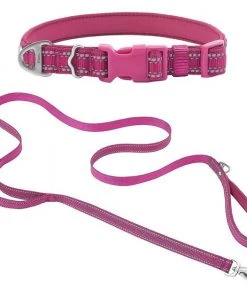 Frisco Outdoor Nylon Reflective Comfort Padded Collar, Boysenberry Purple, Extra Small, Neck: 8-12-in, Width: 5/8th -in + Dog Leash, Boysenberry Purple, Small - Length: 6-ft, Width: 5/8-in