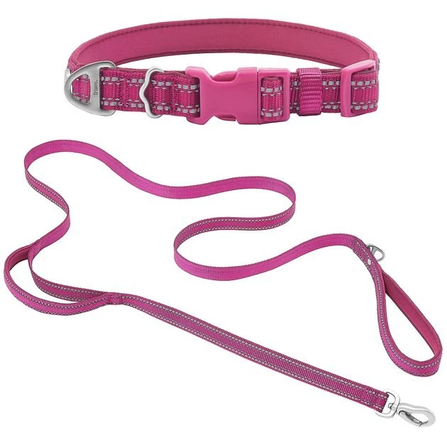 Frisco Outdoor Nylon Reflective Comfort Padded Collar, Boysenberry Purple, Extra Small, Neck: 8-12-in, Width: 5/8th -in + Dog Leash, Boysenberry Purple, Small - Length: 6-ft, Width: 5/8-in 3 Frisco Outdoor Nylon Reflective Comfort Padded Collar, Boysenberry Purple, Extra Small, Neck: 8-12-in, Width: 5/8th -in + Dog Leash, Boysenberry Purple, Small - Length: 6-ft, Width: 5/8-in
