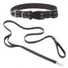 Frisco Outdoor Nylon Reflective Comfort Padded Collar, Midnight Black, MD - Neck: 14-20-in, Width: 3/4-in + Dog Leash, Midnight Black, MD - Length: 6-ft, Width: 3/4-in 1 Frisco Outdoor Nylon Reflective Comfort Padded Collar, Midnight Black, MD - Neck: 14-20-in, Width: 3/4-in + Dog Leash, Midnight Black, MD - Length: 6-ft, Width: 3/4-in -Frisco Sales 2024 319230 MAIN. SY630 V1631154738