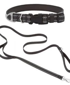 Frisco Outdoor Nylon Reflective Comfort Padded Collar, Midnight Black, MD - Neck: 14-20-in, Width: 3/4-in + Dog Leash, Midnight Black, MD - Length: 6-ft, Width: 3/4-in