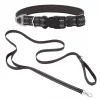 Frisco Outdoor Nylon Reflective Comfort Padded Collar, Midnight Black, XS, Neck: 8-12-in, Width: 5/8th -in + Dog Leash, Midnight Black, SM - Length: 6-ft, Width: 5/8-in -Frisco Sales 2024 319234 MAIN. SY630 V1631145076
