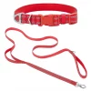 Frisco Outdoor Nylon Reflective Comfort Padded Collar, Sunset Orange, Large, Neck: 18 -26-in, Width: 1-in + Dog Leash, Sunset Orange, Large - Length: 6-ft, Width: 1-in