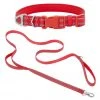 Frisco Outdoor Nylon Reflective Comfort Padded Collar, Sunset Orange, Medium - Neck: 14-20-in, Width: 3/4-in + Dog Leash, Sunset Orange, Medium - Length: 6-ft, Width: 3/4-in 2 Frisco Outdoor Nylon Reflective Comfort Padded Collar, Sunset Orange, Medium - Neck: 14-20-in, Width: 3/4-in + Dog Leash, Sunset Orange, Medium - Length: 6-ft, Width: 3/4-in -Frisco Sales 2024 319240 MAIN. SY630 V1631152590