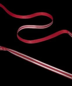 Frisco Outdoor Nylon Reflective Comfort Padded Collar, Sunset Orange, Medium - Neck: 14-20-in, Width: 3/4-in + Dog Leash, Sunset Orange, Medium - Length: 6-ft, Width: 3/4-in -Frisco Sales 2024 319240 PT7. SY630 V1631151974