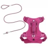 Frisco Outdoor Premium Ripstop Nylon Harness with Pocket, Boysenberry Purple, Extra Large, Neck: 22 to 34-in, Girth: 32 to 44-in + Waterproof Stinkproof PVC Rope Leash, Shadow Purple, 6 Ft. 2 Frisco Outdoor Premium Ripstop Nylon Harness with Pocket, Boysenberry Purple, Extra Large, Neck: 22 to 34-in, Girth: 32 to 44-in + Waterproof Stinkproof PVC Rope Leash, Shadow Purple, 6 Ft. -Frisco Sales 2024 319272 MAIN. SY630 V1631206296