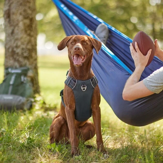 Frisco Outdoor Premium Ripstop Nylon Harness with Pocket, Midnight Black, XL - Girth: 32-44-in + Reflective Comfort Padded Dog Collar, Midnight Black, LG, Neck: 18 -26-in, Width: 1-in 7 Frisco Outdoor Premium Ripstop Nylon Harness with Pocket, Midnight Black, XL - Girth: 32-44-in + Reflective Comfort Padded Dog Collar, Midnight Black, LG, Neck: 18 -26-in, Width: 1-in - Image 5