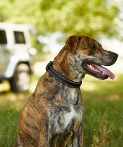 Frisco Outdoor Premium Ripstop Nylon Harness with Pocket, Midnight Black, XL - Girth: 32-44-in + Reflective Comfort Padded Dog Collar, Midnight Black, LG, Neck: 18 -26-in, Width: 1-in 19 Frisco Outdoor Premium Ripstop Nylon Harness with Pocket, Midnight Black, XL - Girth: 32-44-in + Reflective Comfort Padded Dog Collar, Midnight Black, LG, Neck: 18 -26-in, Width: 1-in -Frisco Sales 2024 319304 PT8. SY630 V1631147478