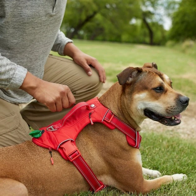 Frisco Outdoor Premium Ripstop Nylon Harness with Pocket, Sunset Orange, Extra Large, Neck: 22 to 34-in, Girth: 32 to 44-in + Waterproof Stinkproof PVC Rope Leash, Sunset Orange, 6 Ft. 7 Frisco Outdoor Premium Ripstop Nylon Harness with Pocket, Sunset Orange, Extra Large, Neck: 22 to 34-in, Girth: 32 to 44-in + Waterproof Stinkproof PVC Rope Leash, Sunset Orange, 6 Ft. - Image 5