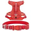 Frisco Outdoor Premium Ripstop Nylon Harness with Pocket, Sunset Orange, Large, Neck: 18 to 28-in, Girth 24 to 34-in + Reflective Comfort Padded Dog Collar, Sunset Orange, Large, Neck: 18 -26-in, Width: 1-in 1 Frisco Outdoor Premium Ripstop Nylon Harness with Pocket, Sunset Orange, Large, Neck: 18 to 28-in, Girth 24 to 34-in + Reflective Comfort Padded Dog Collar, Sunset Orange, Large, Neck: 18 -26-in, Width: 1-in -Frisco Sales 2024 319314 MAIN. SY630 V1630620992