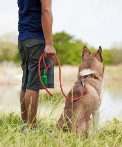 Frisco Outdoor Premium Ripstop Nylon Harness with Pocket, Sunset Orange, Large, Neck: 18 to 28-in, Girth 24 to 34-in + Waterproof Stinkproof PVC Rope Leash, Sunset Orange, 6 Ft. -Frisco Sales 2024 319318 PT8. SY630 V1630623401