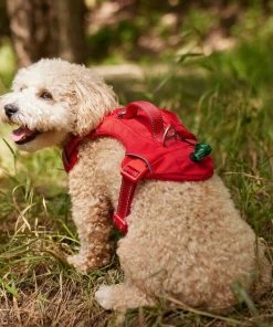 Frisco Outdoor Premium Ripstop Nylon Harness with Pocket, Sunset Orange, Medium, Neck: 15 to 23-in, Girth, 20 to 28-in + Reflective Comfort Padded Dog Leash, Sunset Orange, Medium - Length: 6-ft, Width: 3/4-in -Frisco Sales 2024 319322 PT4. SY630 V1631141202