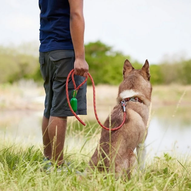Frisco Outdoor Premium Ripstop Nylon Harness with Pocket, Sunset Orange, Medium, Neck: 15 to 23-in, Girth, 20 to 28-in + Waterproof Stinkproof PVC Rope Leash, Sunset Orange, 6 Ft. 11 Frisco Outdoor Premium Ripstop Nylon Harness with Pocket, Sunset Orange, Medium, Neck: 15 to 23-in, Girth, 20 to 28-in + Waterproof Stinkproof PVC Rope Leash, Sunset Orange, 6 Ft. - Image 9