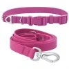 Frisco Outdoor Solid Textured Waterproof Stink Proof PVC Collar, Boysenberry Purple, Small - Neck: 10½14-in, Width: 5/8-in + Dog Leash, Boysenberry Purple, Small - Length: 6-ft, Width: 5/8-in -Frisco Sales 2024 319338 MAIN. SY630 V1631159770