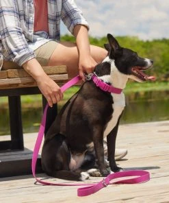 Frisco Outdoor Solid Textured Waterproof Stink Proof PVC Collar, Boysenberry Purple, Small - Neck: 10½14-in, Width: 5/8-in + Dog Leash, Boysenberry Purple, Small - Length: 6-ft, Width: 5/8-in -Frisco Sales 2024 319338 PT7. SY630 V1631152001