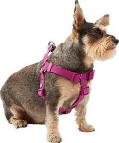 Frisco Outdoor Solid Textured Waterproof Stink Proof PVC Harness, Boysenberry Purple, Large, Neck: 19 to 27-in, Girth: 23 to 36-in + Dog Leash, Boysenberry Purple, Large - Length: 6-ft, Width: 1-in -Frisco Sales 2024 319356 PT2. SY630 V1631150788