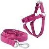 Frisco Outdoor Solid Textured Waterproof Stink Proof PVC Harness, Boysenberry Purple, Small, Neck: 14 to 19-in, Girth: 16 to 23-in + Dog Leash, Boysenberry Purple, Small - Length: 6-ft, Width: 5/8-in 2 Frisco Outdoor Solid Textured Waterproof Stink Proof PVC Harness, Boysenberry Purple, Small, Neck: 14 to 19-in, Girth: 16 to 23-in + Dog Leash, Boysenberry Purple, Small - Length: 6-ft, Width: 5/8-in -Frisco Sales 2024 319360 MAIN. SY630 V1631149281
