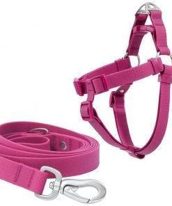 Frisco Outdoor Solid Textured Waterproof Stink Proof PVC Harness, Boysenberry Purple, Small, Neck: 14 to 19-in, Girth: 16 to 23-in + Dog Leash, Boysenberry Purple, Small - Length: 6-ft, Width: 5/8-in